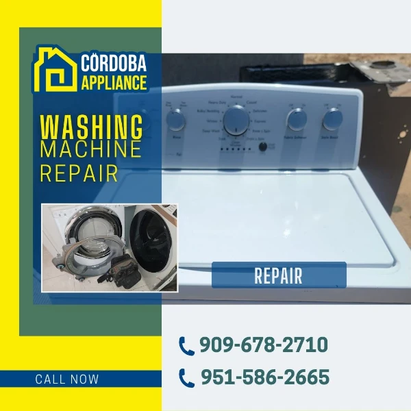 Kitchen Appliance Maintenance